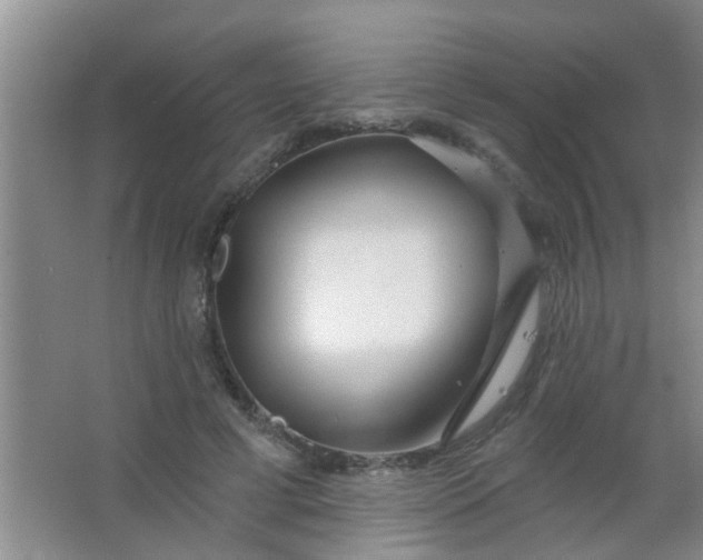 X0000063450593200602031810