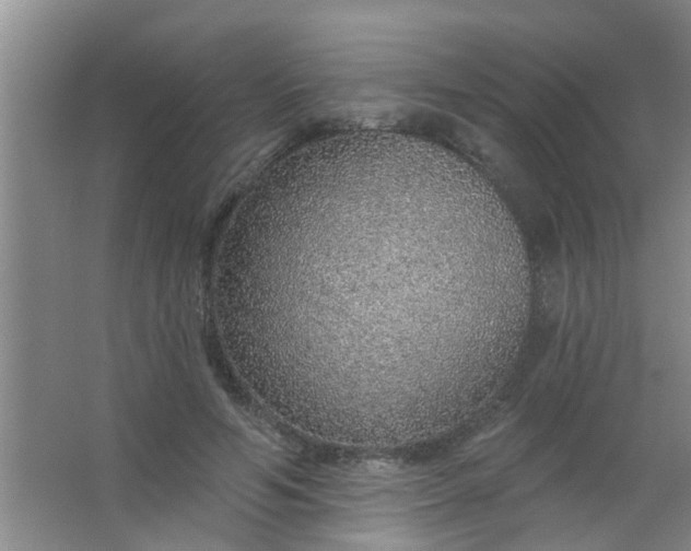 X0000063450594200602031810