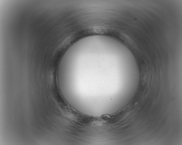 X0000063450595200602031810