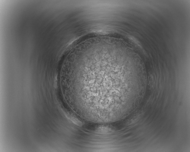 X0000063450596200602031810