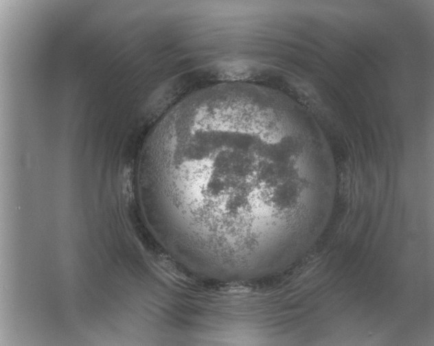 X0000063450598200602031810