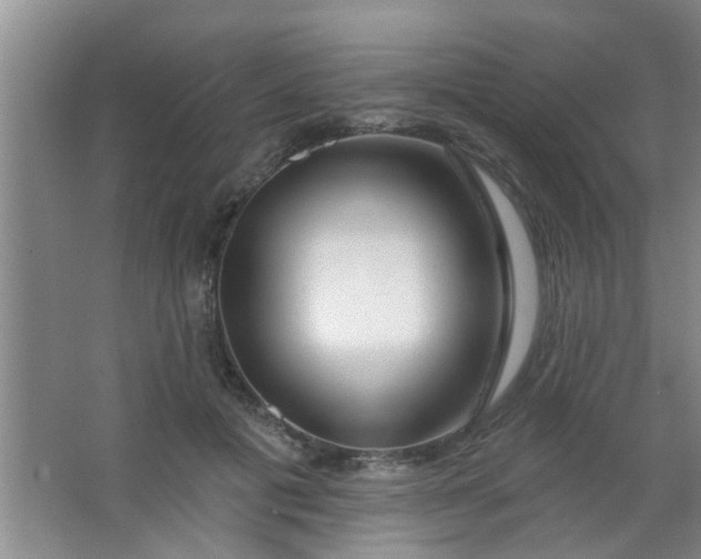 X0000063450601200602031810