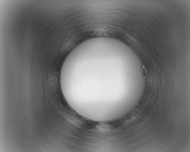 X0000063450603200602031810