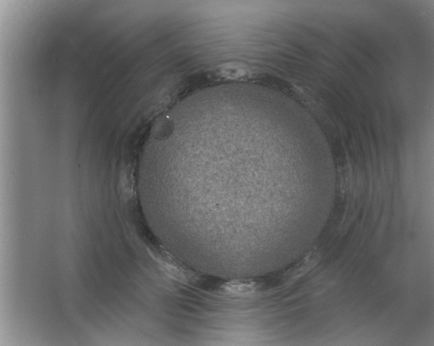 X0000063450606200602031810