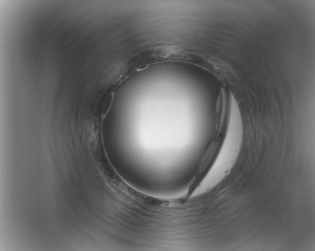 X0000063450607200602031810