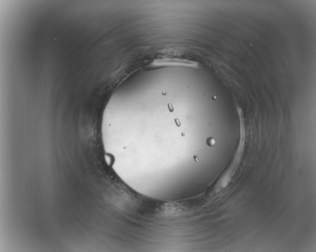 X0000063450608200602031810