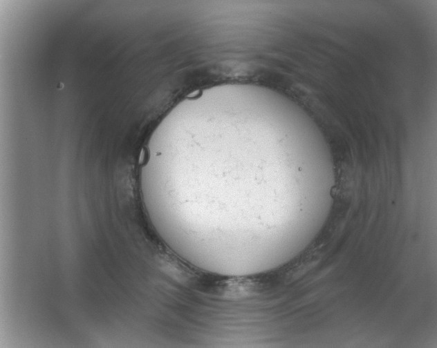 X0000063450612200602031809