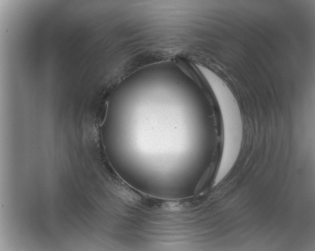 X0000063450613200602031809