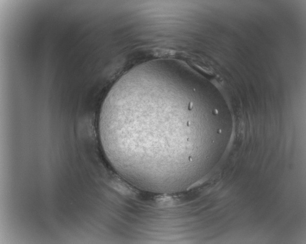 X0000063450616200602031809