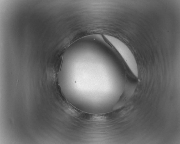 X0000063450617200602031809