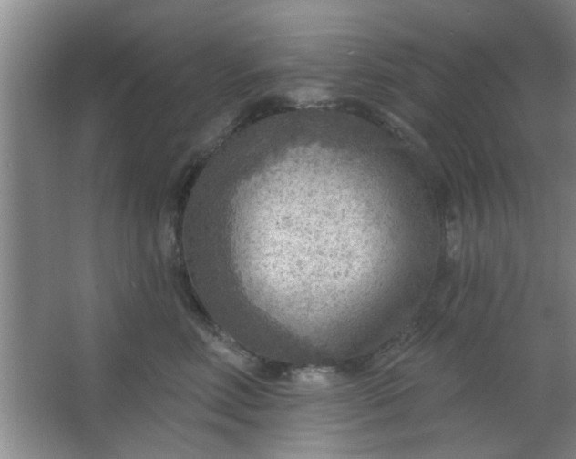 X0000063450618200602031809