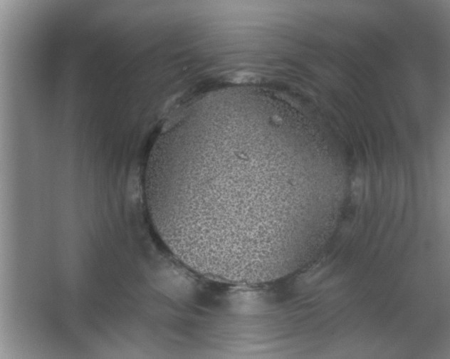 X0000063450620200602031809