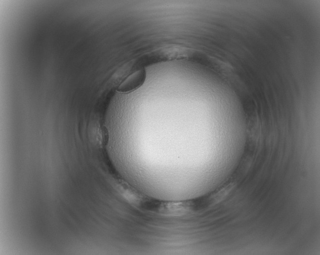 X0000063450622200602031809