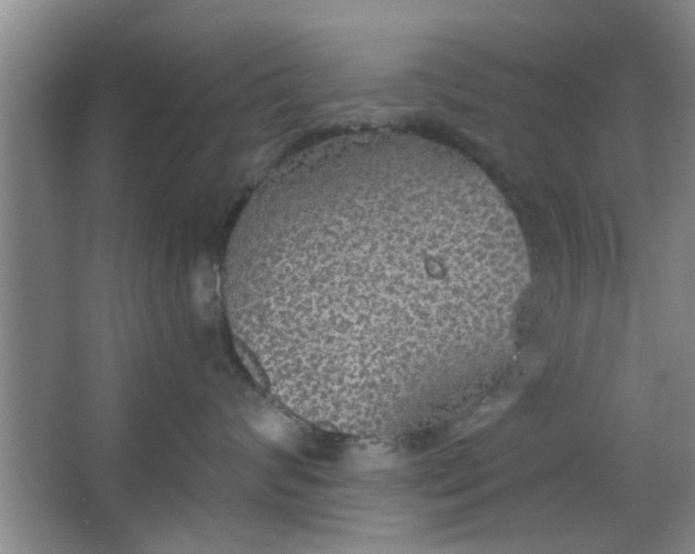 X0000063450624200602031809