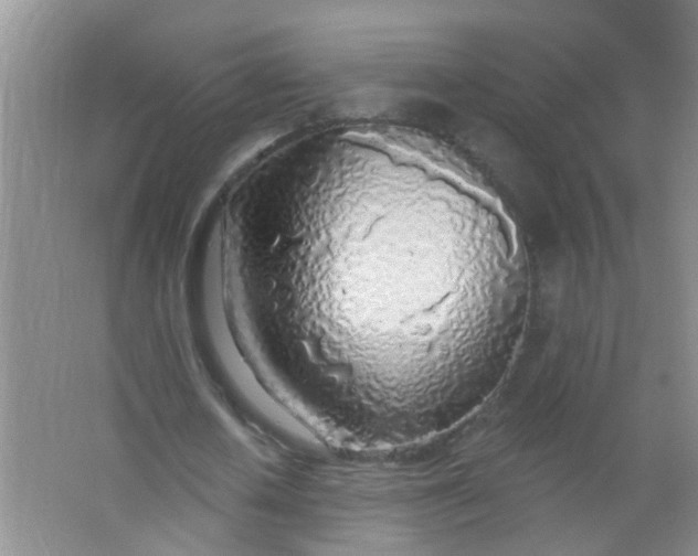 X0000063450626200602031809