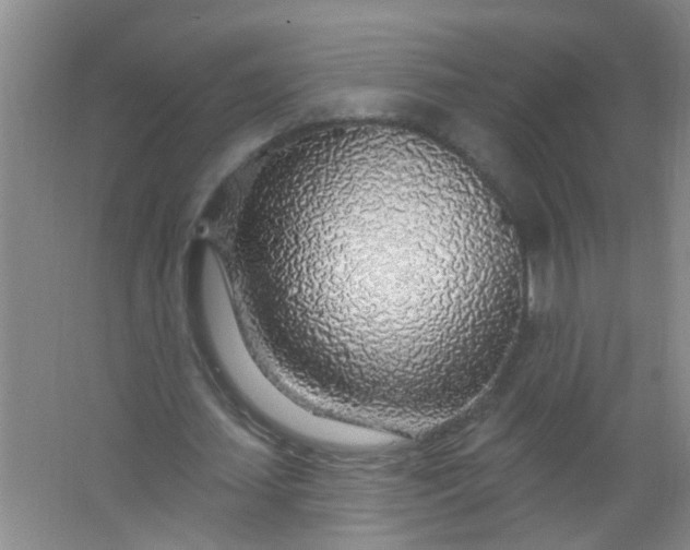 X0000063450627200602031809