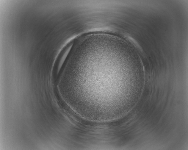 X0000063450628200602031809