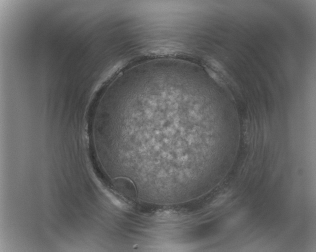 X0000063450634200602031809