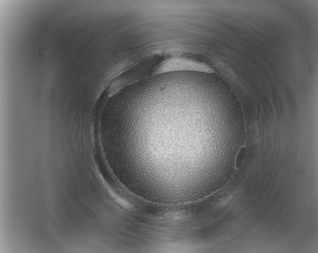 X0000063450638200602031809