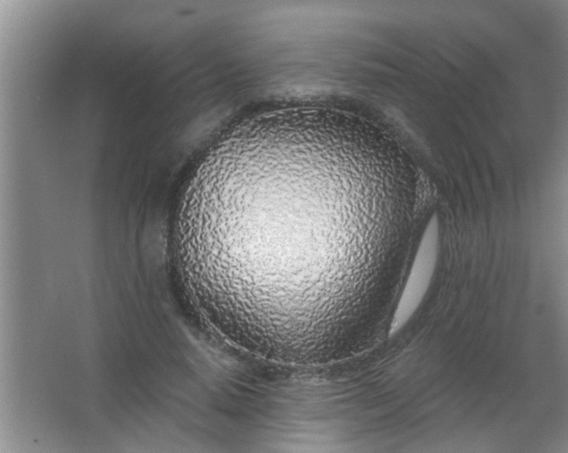 X0000063450640200602031809