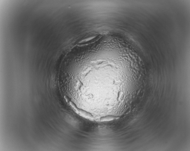 X0000063450641200602031809