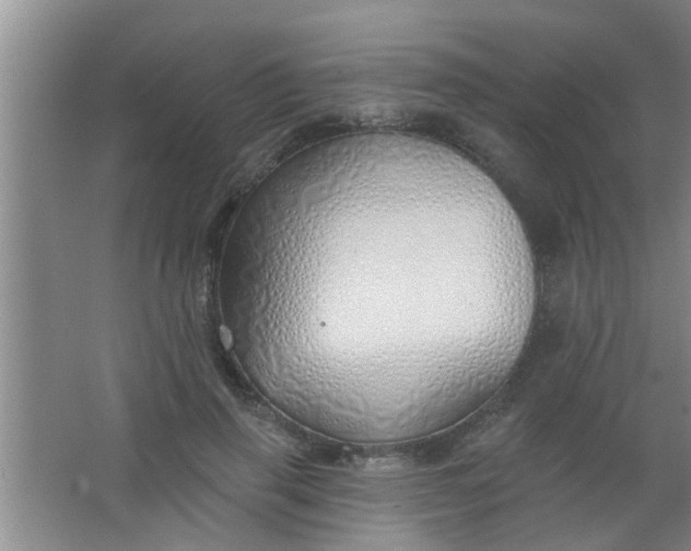 X0000063450645200602031809