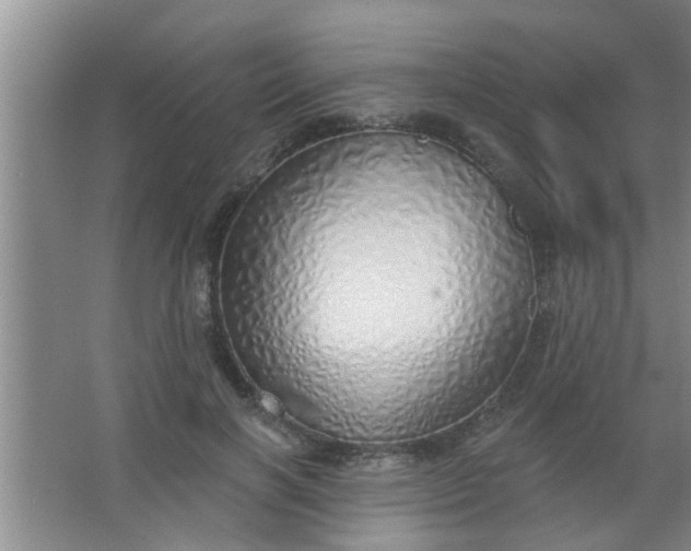 X0000063450646200602031809