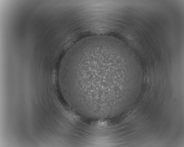 X0000063450647200602031809