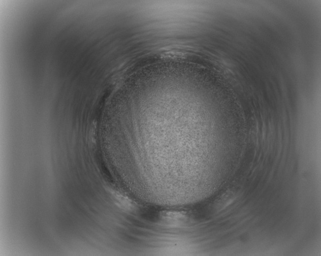 X0000063450649200602031809