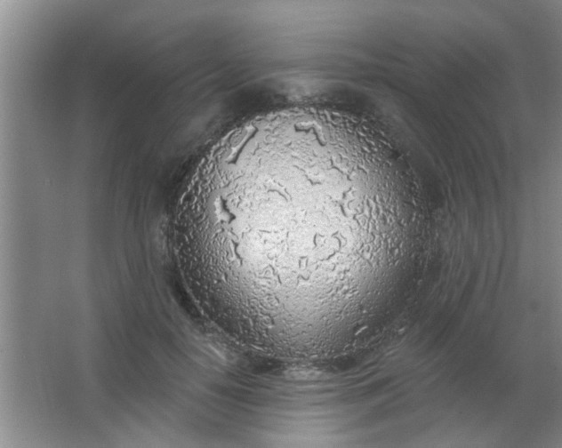 X0000063450650200602031809