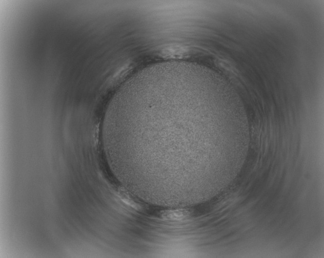 X0000063450652200602031809