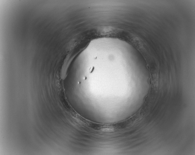 X0000063450653200602031809