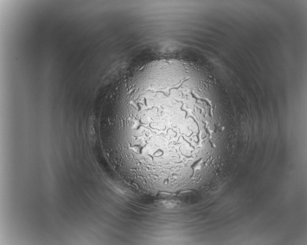 X0000063450654200602031809