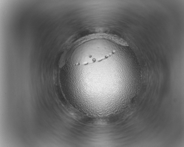 X0000063450656200602031809