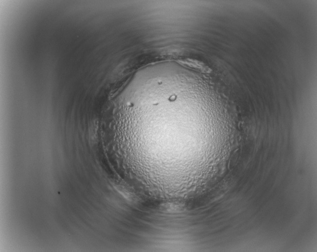 X0000063450660200602031809