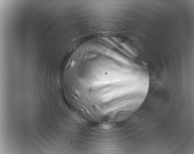 X0000063450662200602031809