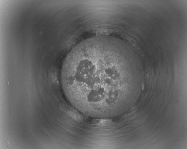 X0000063450663200602031809