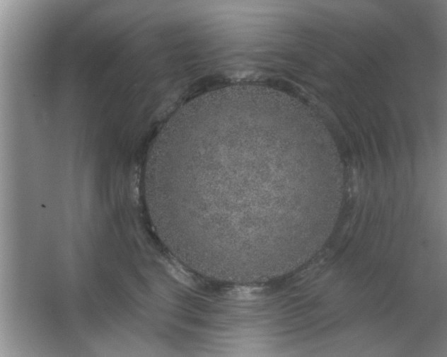 X0000063450664200602031809