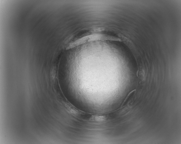 X0000063450665200602031809