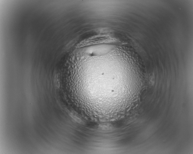 X0000063450666200602031809