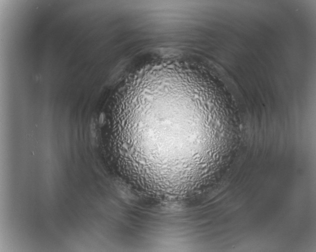 X0000063450667200602031809