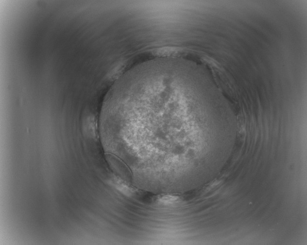 X0000063450669200602031809