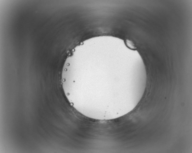 X0000063450672200602031809