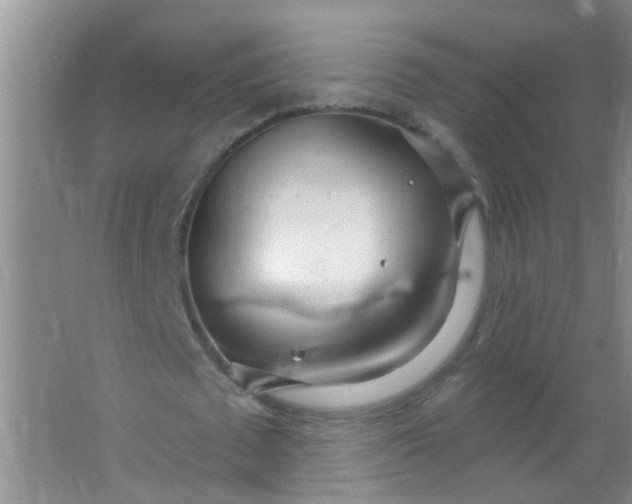 X0000063450673200602031808