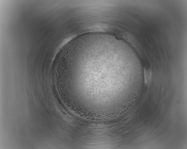 X0000063450675200602031808