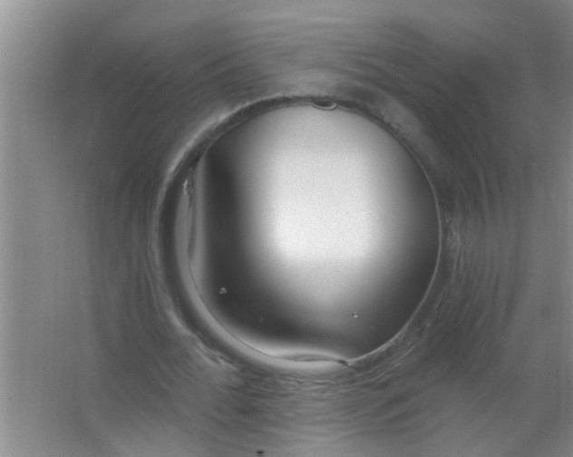 X0000063450676200602031808