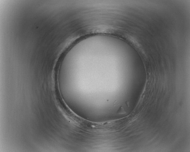 X0000063450678200602031808