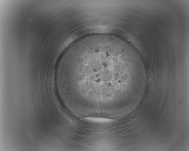 X0000063450679200602031808