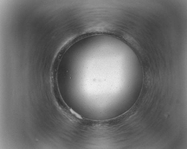 X0000063450680200602031808