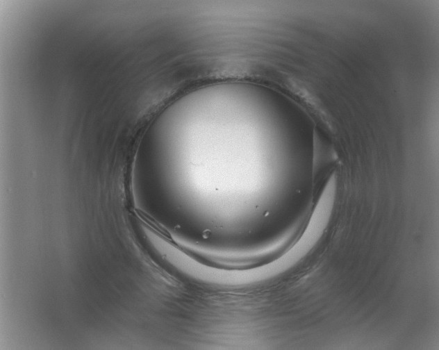 X0000063450681200602031808